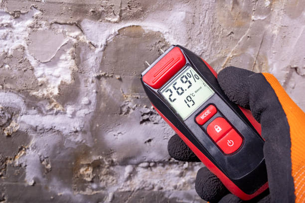 Best Office Mold Removal Services  in Hobart, WI